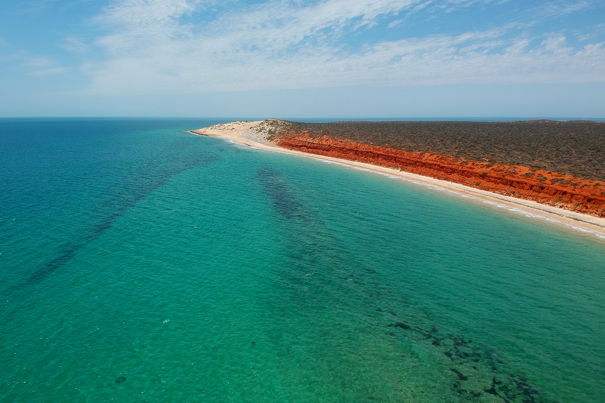 kuri bay, western australia (3).webp